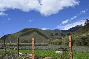 Programa de Turismo de Naturaleza para la reserva Forestal Protectora Nacional río Amaime y su zona de influencia y la subcuenca del río Nima.