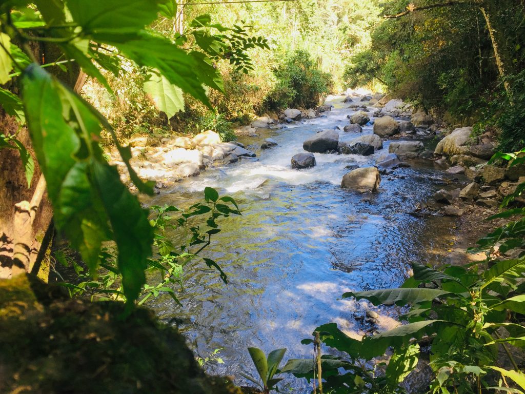 el programa de Turismo de Naturaleza del área protegida de Sonso-Guabas