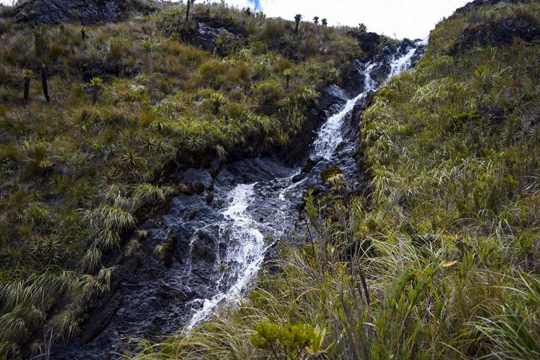 Páramo de La Nevera (1)