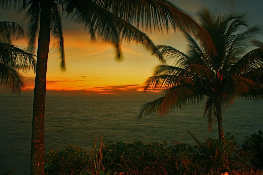 los niños del mar