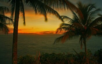 los niños del mar