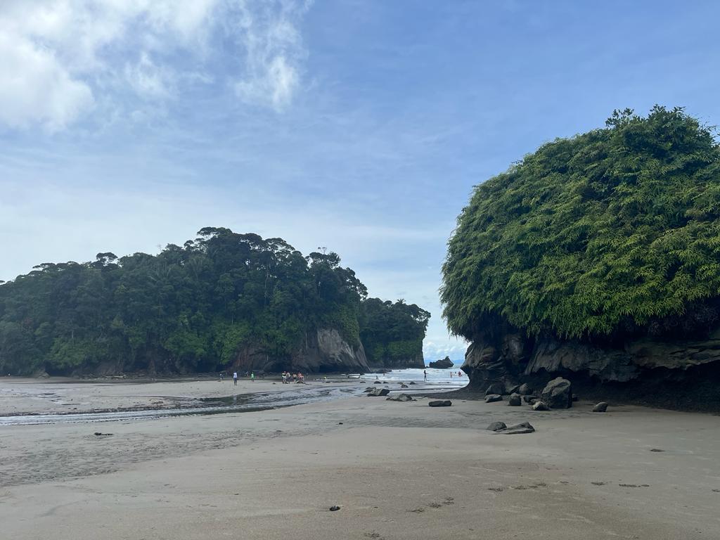 Magüipi, una playa azul y sostenible en el pacífico colombiano