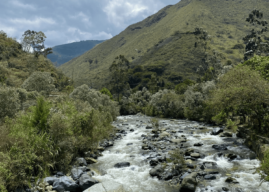 Seminario de buenas prácticas de educación ambiental para la sostenibilidad: Una oportunidad para fortalecer la conservación en el corredor turístico del Amaime